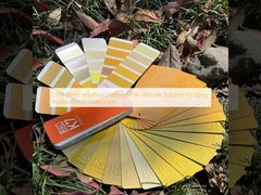DSM Resin Industrial Coatings The Ultimate Solution for Spray Application powder paint