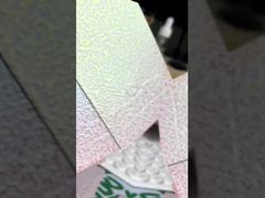 Color Changing hammertone Powder Coating Spray for Transformative Design