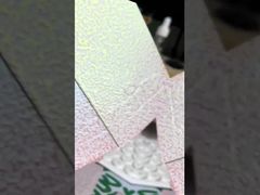 Color Shifting Colorful Hammer Texture Powder Coating Paint for Metal Surface